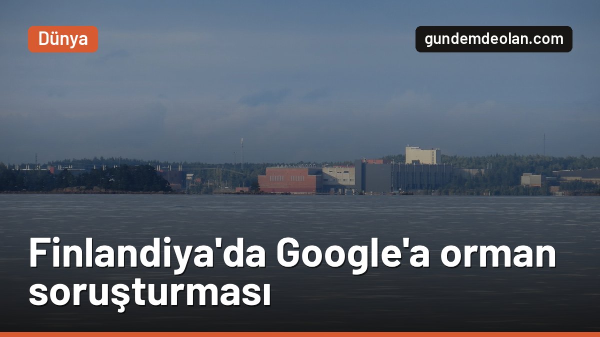Finlandiya’da Google’a cezai soruşturma: 330 hektar orman izinsiz kesildi