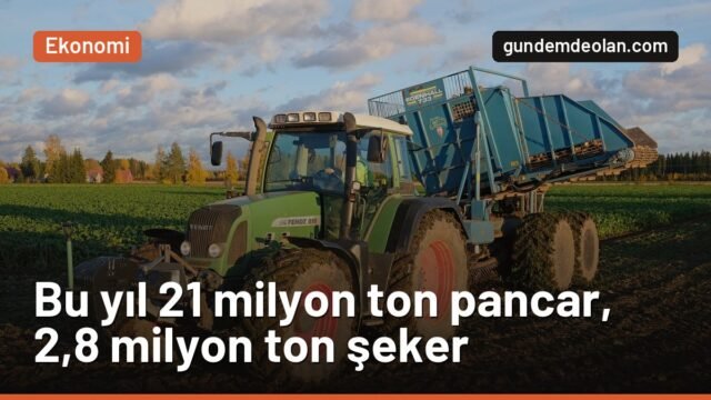 Şeker pancarı üretimi bu yıl 21 milyon ton: Türkiye şeker ihraç edebilir