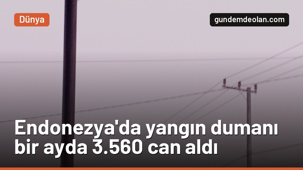 Endonezya’da orman yangını dumanı eylülde 3 bin 560 kişiyi öldürdü