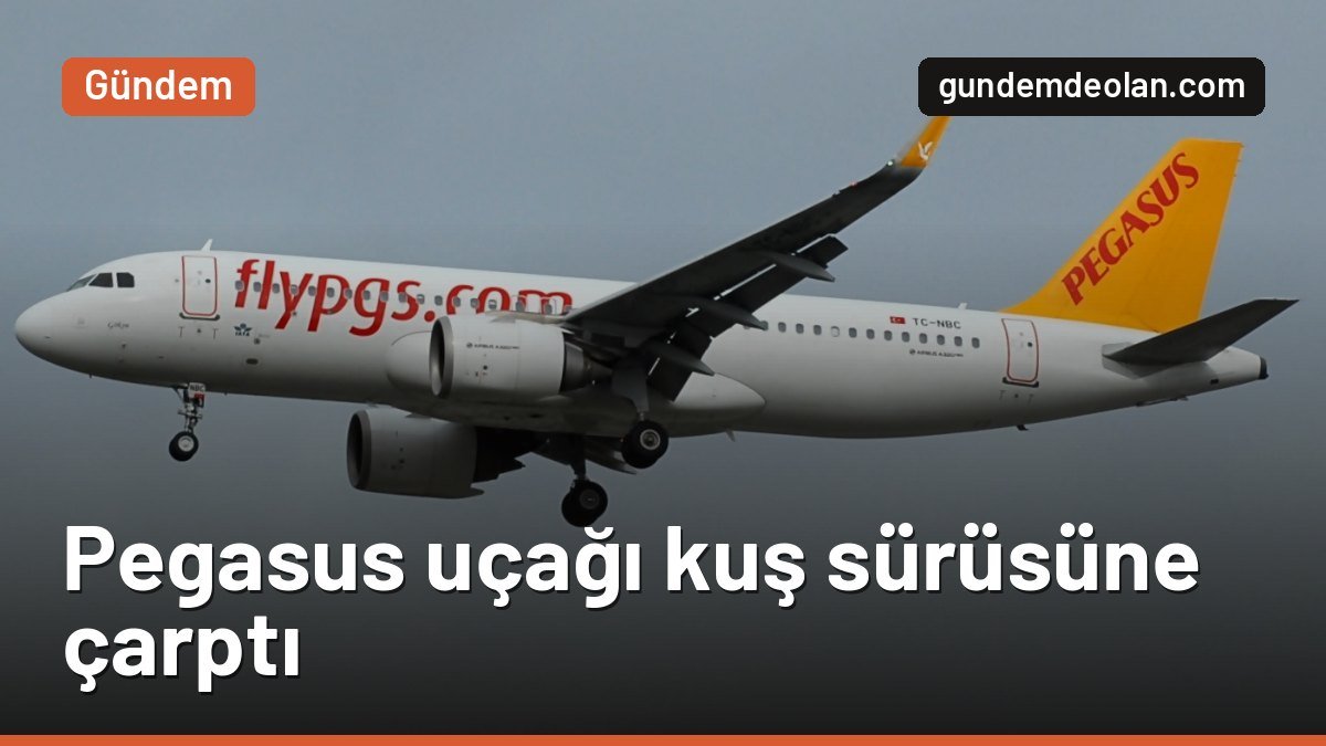 Pegasus’un Kopenhag uçağı kuş sürüsüne çarptı: İstanbul’a geri döndü