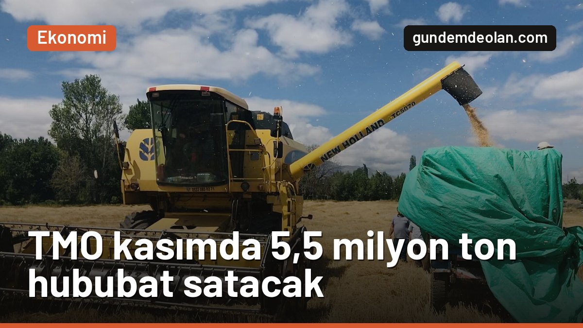 TMO kasımda 5,5 milyon ton hububat satacak: Fiyatlara zam yapılmadı