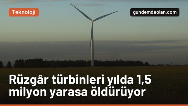 Rüzgâr türbinleri ABD’de 43 yılda 18,7 milyon yarasayı öldürdü