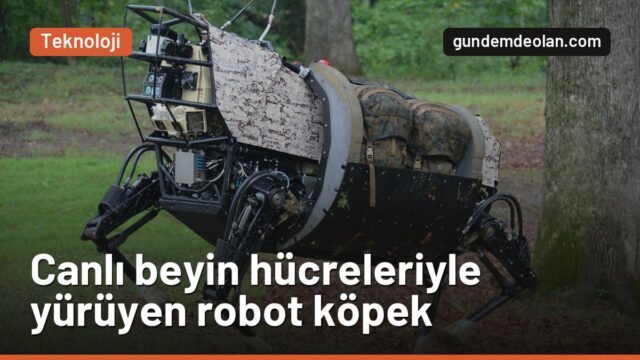 İnsan beyin hücreleriyle yürüyen robot köpek: Cortical Labs ne yaptı?