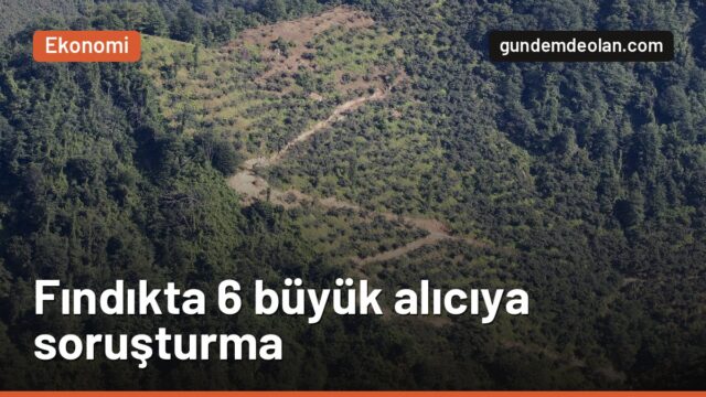 Rekabet Kurumu fındıkta 6 büyük alıcıyı inceliyor: Fiyatlar baskılandı mı?